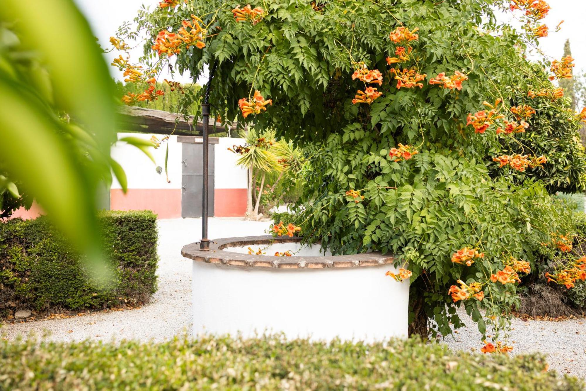 La Cuadra, Finca A Los Pies De Sierra Nevada, A 10 Minutos Del Centro, Piscina, Jardin, Barbacoa La Zubia  Exterior photo